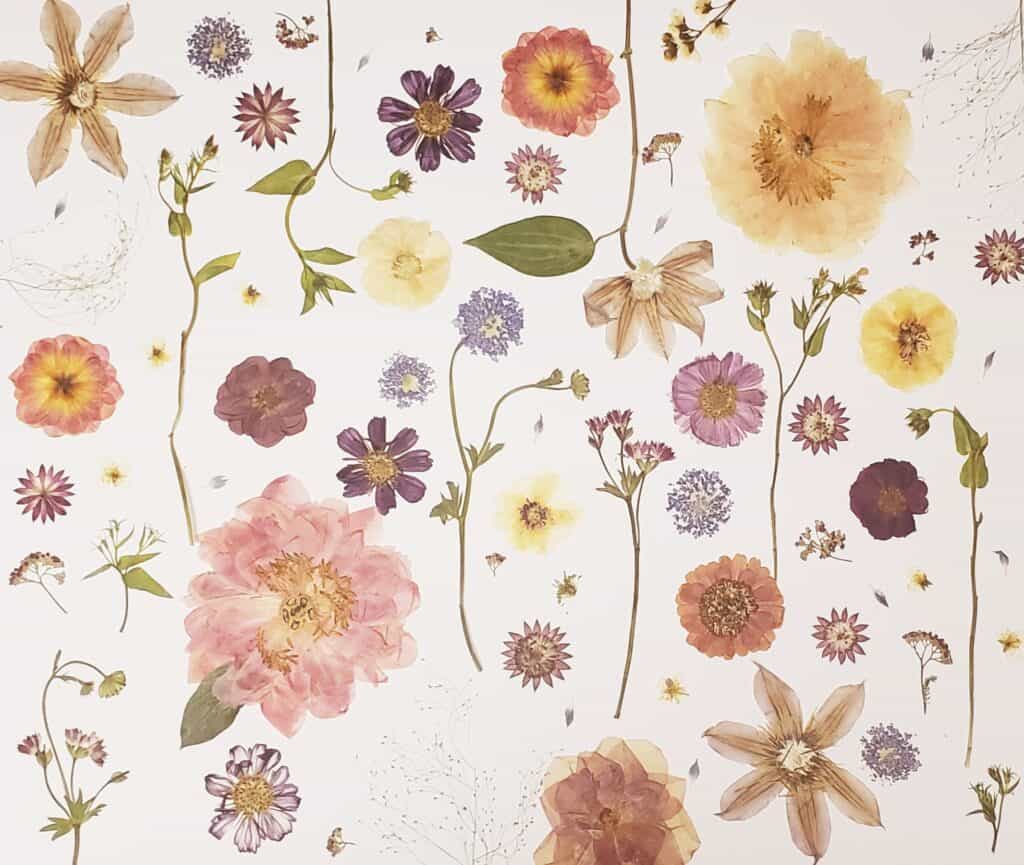 preserved wedding flowers artwork