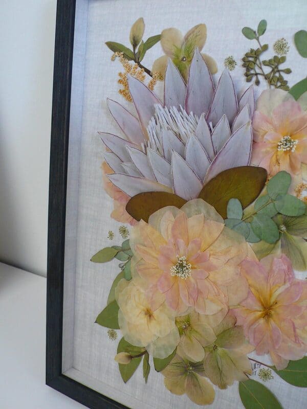 pressed protea botanical collage orig