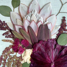 protea ranunculus botanical collage orig 225x225 c